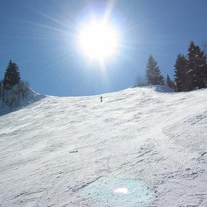 IMG_3219.JPG