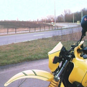 PPPxt_070204.jpg