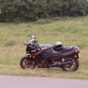 in de berm klein.JPG
