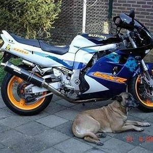 GSX je.JPG