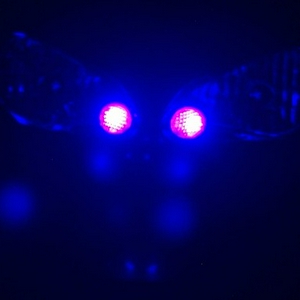 UV 005 sm.jpg