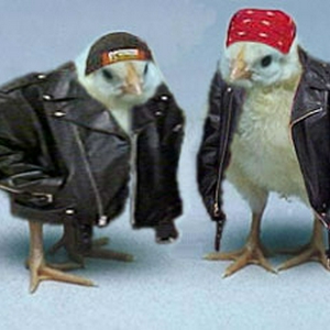 bikerchicks.jpg