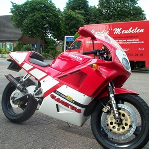 mito125.JPG