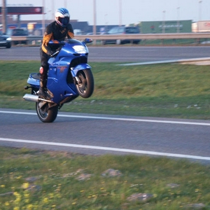 Leon-wielie.jpg