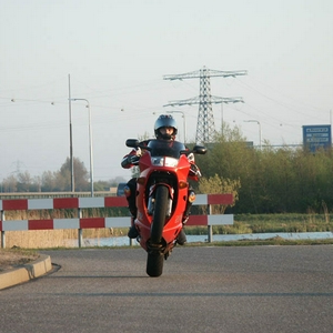 rene-up-and-away.jpg