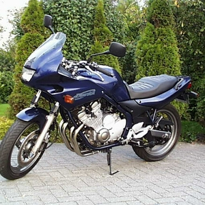 2803228.jpg