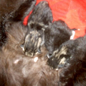 CAM_0660.jpg