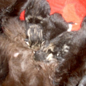 CAM_0661.jpg