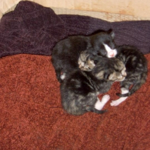 CAM_0663.jpg