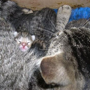 DSCN1106a.JPG
