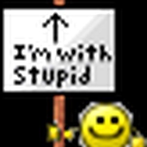 stupid.gif