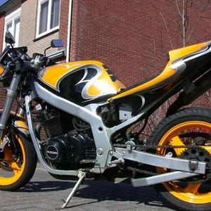 gs9klein.jpg