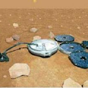 beagle202.jpg