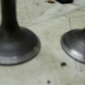 DCP_0013.JPG