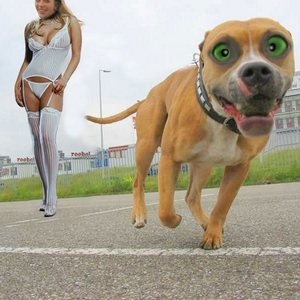 Untitled-1.jpg
