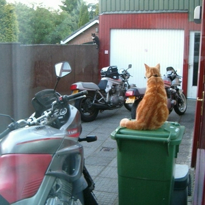 Wacht.jpg