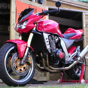 red1.jpg
