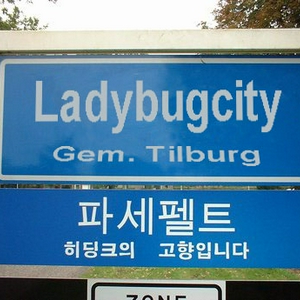Ladybugcity.jpg