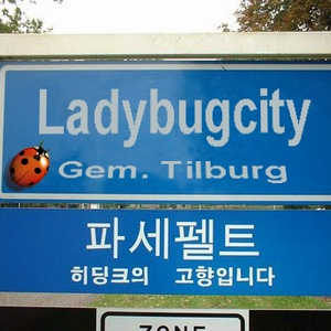 Ladybugcity-.jpg