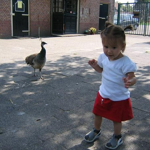 boerderij.JPG