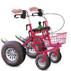 remusrollator.jpg