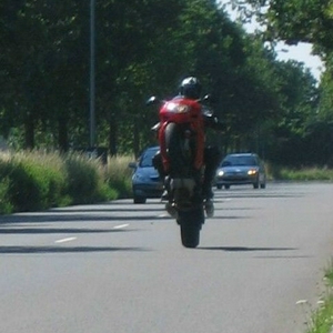wheely,s 009 test.jpg