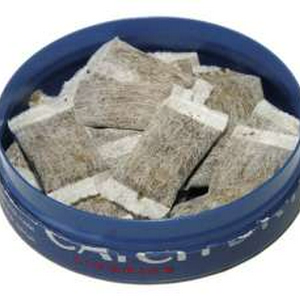 snus bags.jpg