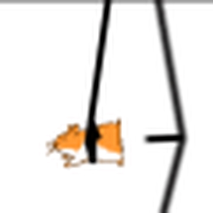 hamster.gif