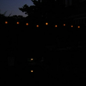 bbq 015.jpg