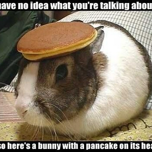 pancake.jpg