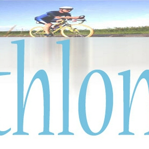 header3100.jpg
