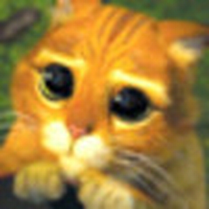 catje.jpg