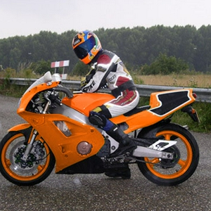 Ant27.jpg