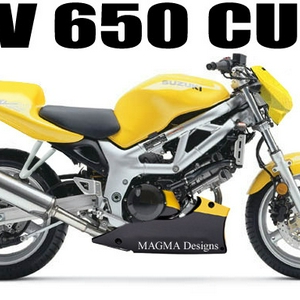 sv CUP.jpg