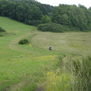 DSC00626 (Small).JPG