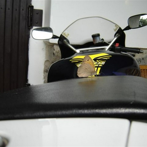 DSC00584 (Small).JPG