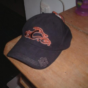 DSCF0483.JPG