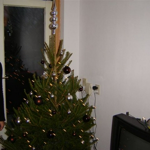 anne naast kerstboom.jpg