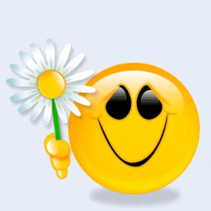 3.gif
