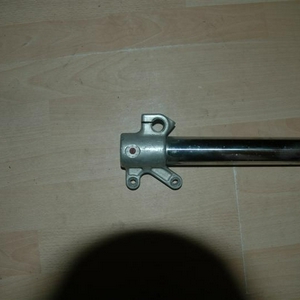 voorkpoot 001 (Medium).jpg