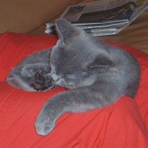 foto1.jpg