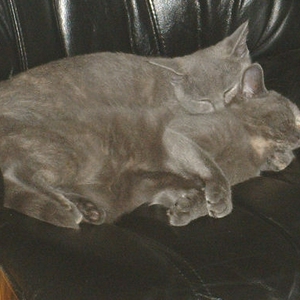 foto2.jpg
