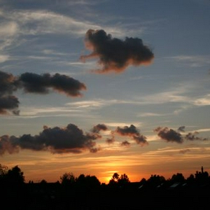 summer evening.jpg