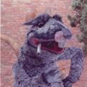 cvbfnlm.JPG
