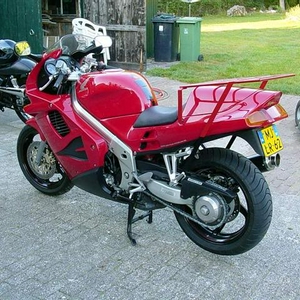 rek1 (Small).JPG
