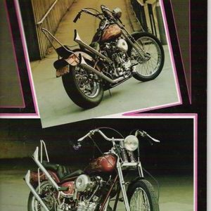 BSH Harley.jpg