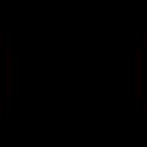 455.gif