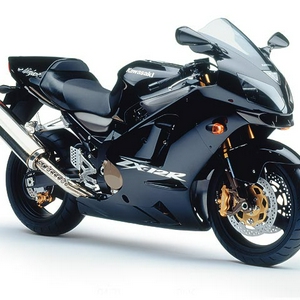 01ZX12RGERblk.jpg