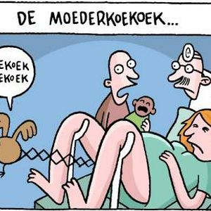 moederkoekkoek[1].jpg