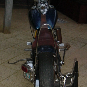 panproject4.jpg